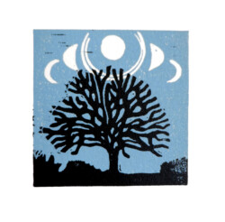 Trees and Moons Trees and Moons