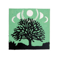 Trees and Moons Trees and Moons