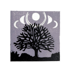 Trees and Moons Trees and Moons