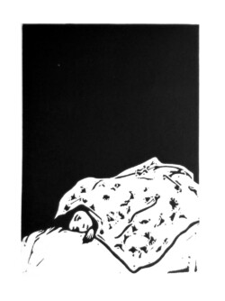 The Wide Awake Club The Wide Awake Club